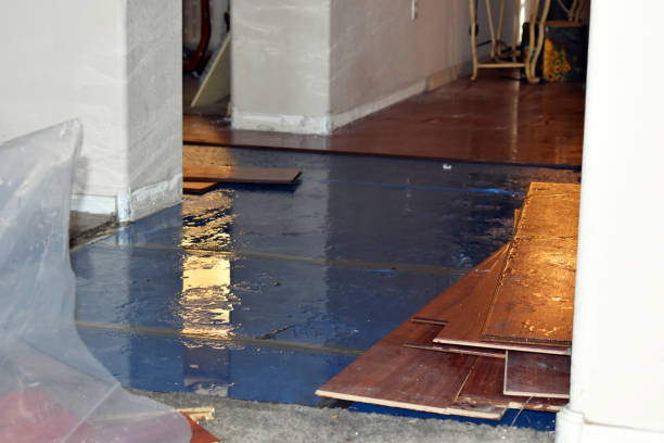 Professional Burst Pipe Cleanup technician working in Wheatland, OK